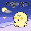 신비네일 네이버블로그