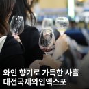 와인으로 열어가는 교양의 세계 | 대전, 와인 향기에 취하다 ‘2025 대전국제와인EXPO’ 후기