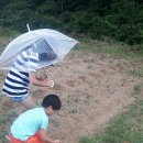 혜선농장 이미지