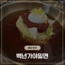 백년부산가야밀면 | 백년가야밀면 | 논산강경맛집! 점심식사 하기 좋은 곳