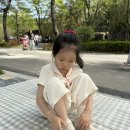아림동물병원