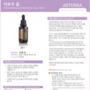 진주화장품 이미지