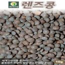 H0008 이미지