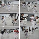 백마태권도 이미지