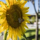 계양경기장 인라인스케이트장 이미지