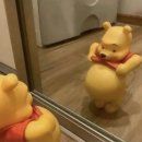 목동 굿맘 산후조리원 이미지