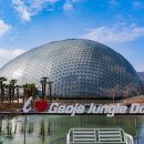 식물원옆카페 이미지