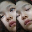 애기 Daum카페