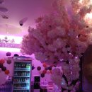 TOP 노래연습장 이미지