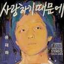 유재하 특별 전시 가리워진 길 | 서촌의 색감에 물들다, 혼자서도 충분히 예쁜 '미(美)니멀' 서촌 산책 코스 🚶‍♂️🧶🌳