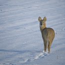 약속의 땅 이미지