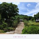 천년고찰 예천 용문사의 여름 풍경... 이미지