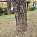 죽전체육공원 이미지