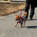 프리티우먼 | 쩜쑨이 생일 🎂♥️ + 약간의 일상(어그스트 발마칸 코트 후기 ..)