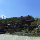 동강막국수