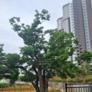 해든초등학교 정문 이미지