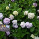 대왕암공원관광안내소 이미지