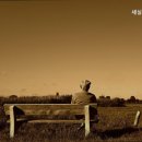 세실리아요양원 네이버블로그