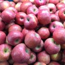 하이크린 이미지