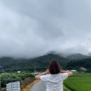 사천포롱민박 | 강릉 사천 포롱민박 후기(친구들과 촌캉스,강릉해변추천)