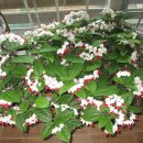 우리꽃자리 이미지