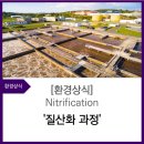 에닌주식회사 이미지