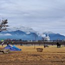 양포파크골프장 이미지