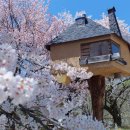 고지대 그린 테마공원 이미지