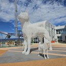 진도터미널약국 이미지