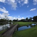 MINI 락 당구클럽 | 🇵🇭[필리핀] 세부 골프여행 시내중심 라운딩 추천! 세부 컨트리 클럽(Cebu Country Club)🏝⛳️🏌️