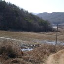 시골정취 티스토리