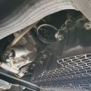 정카센타 이미지