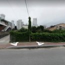 강릉사임당공인중개사사무소 이미지