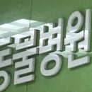 연합동물병원 이미지