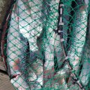 해성좌대 이미지