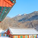 도림사 티스토리
