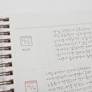 시즈더데이 이미지