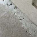 스테이유을 이미지