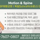 국제척추교정학회