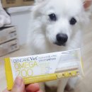 스사모 가을정모 &lt;덴케어벳 오메가200&gt; 후기