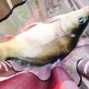 산골낚시터 이미지