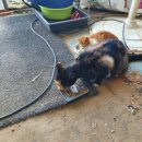 한은농장 이미지