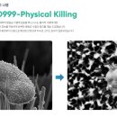 사랑맘어린이집 이미지