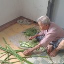 야문경로당 Daum카페