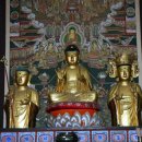 심향사(제3호) | 문화재청 국가지정문화재(보물) 5건 지정 ,‘서산 개심사 목조아미타여래좌상’ 등 5건 지정