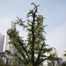 물빛공원 족구장 이미지