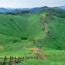 민둥산 850 전망대 이미지