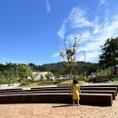 [공지] 거창 당일치기 하나로왕갈비마트 창포원 이수미팜베리 별바람언덕