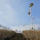 무궁화비료 이미지