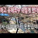 귀촌의 적 뱀 이렇게 했더니 이사 나갈때까지 못봤습니다 이미지